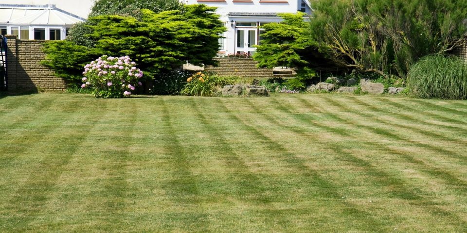 Hens Lawn Mowing is a Perrsburg Ohio favorite