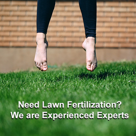 Need Lawn Fertilization?  Hens Mowing and Landscaping are Experienced Experts in the latest modern grass growing technologies. We kill those weeds, stop grubs from eating the roots of your lawn grasses and dandelions hate us.